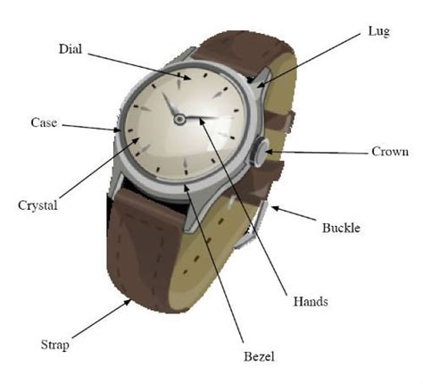 Watch Parts Diagrams Illustrated Watch Parts 